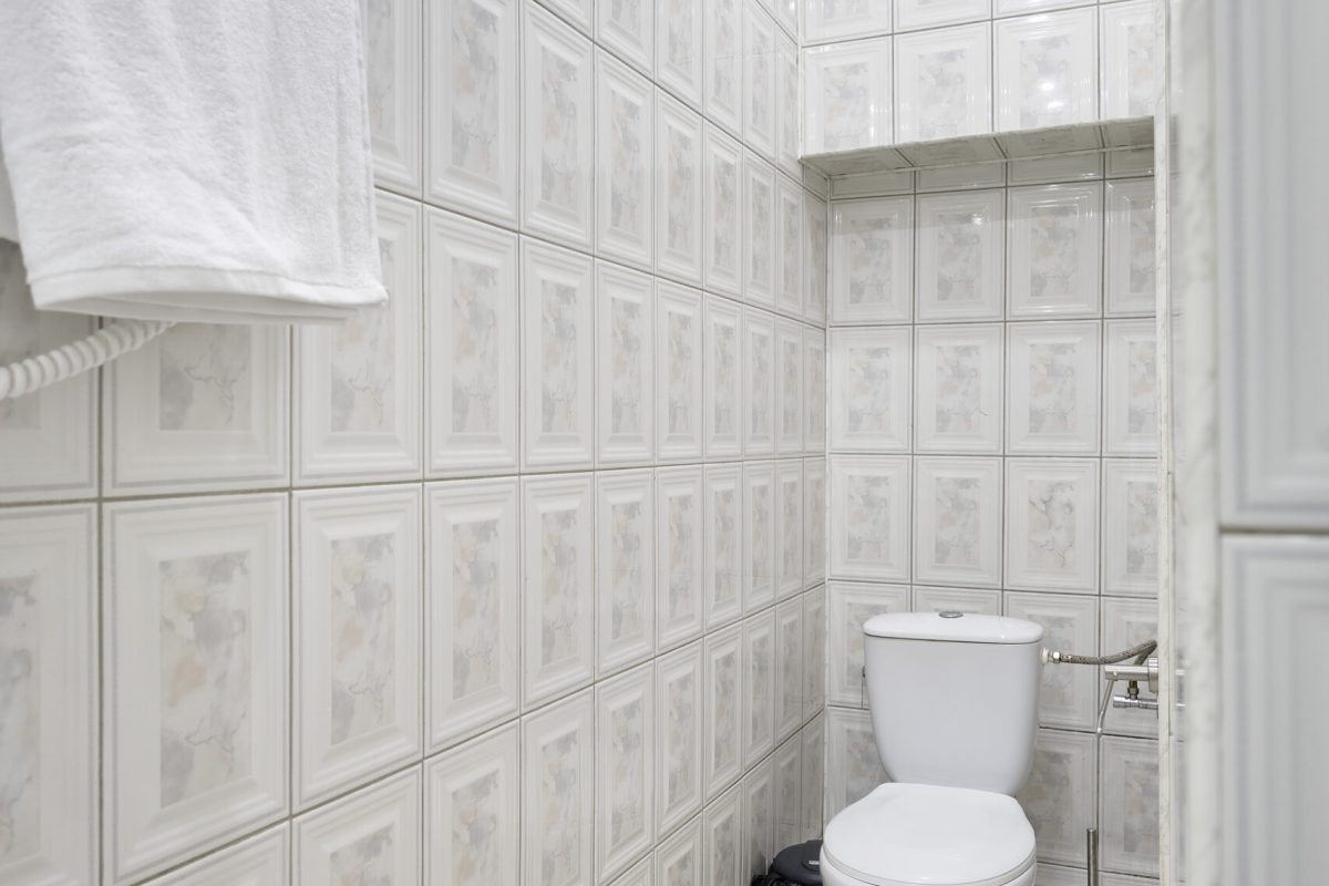 NT1A3047-редакт